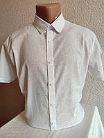 Рубашка мужская на кнопках Турция Норма (Розница - Опт) L