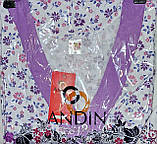 Нічнушки"Fazo-R-Andin" Узбекистан (48-56), фото 3