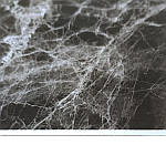 Декоративная ПВХ плита сірий темно-сірий мармур 600*600*3mm (S) SW-00001628, фото 4