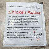 Активатор несучності курей Chicken Active, фото 3