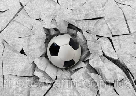 Фотошлях Chameleon Футбольний м'яч 3Д 100х100 см, фото 1