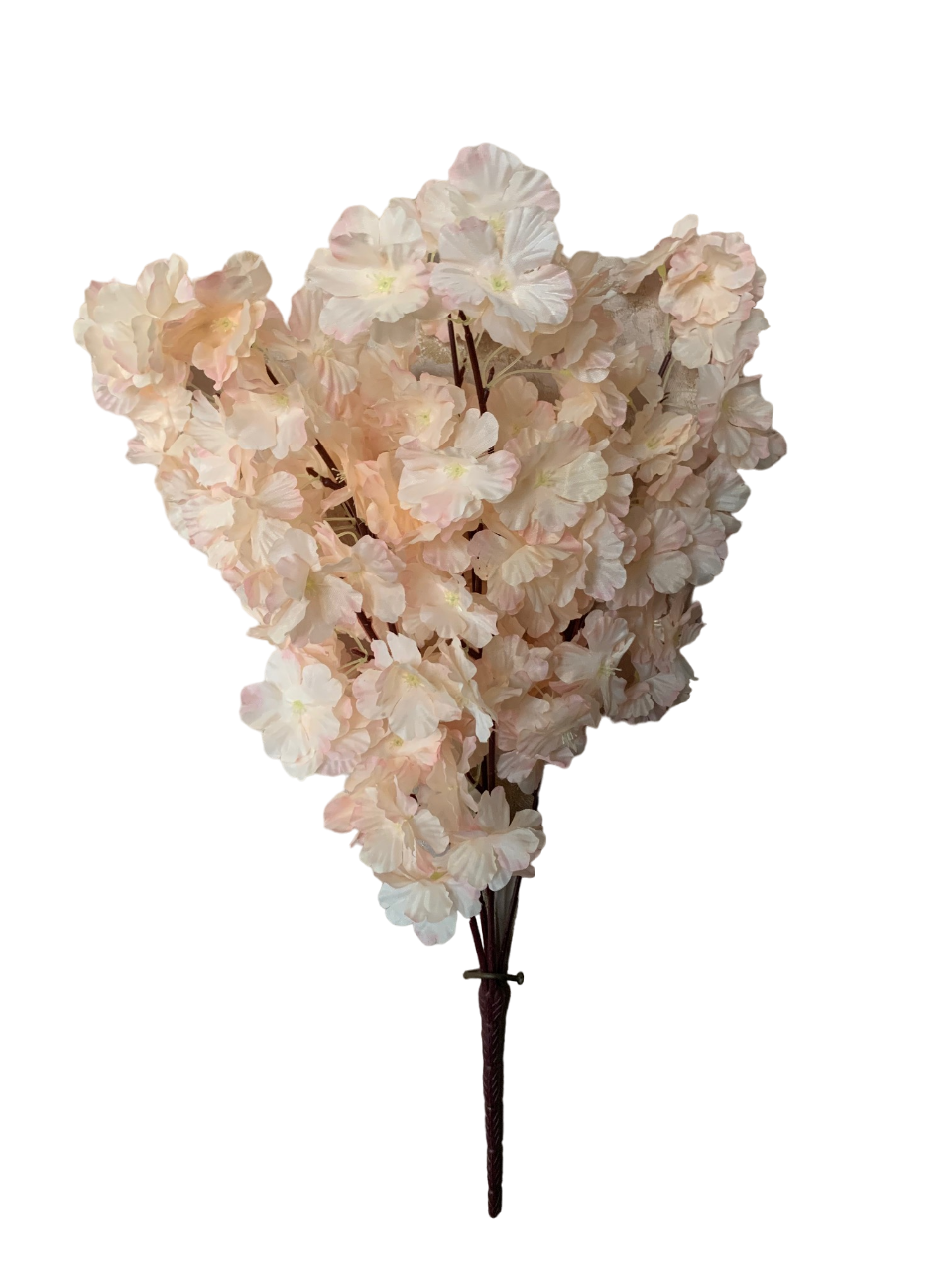 img_6059_photoroom.png_photoroom_1.png