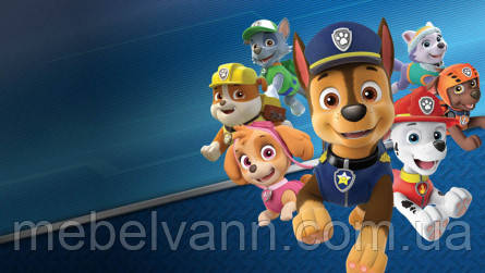 Фотошлях Chameleon Цуценята з патруля 100х100 см, фото 1