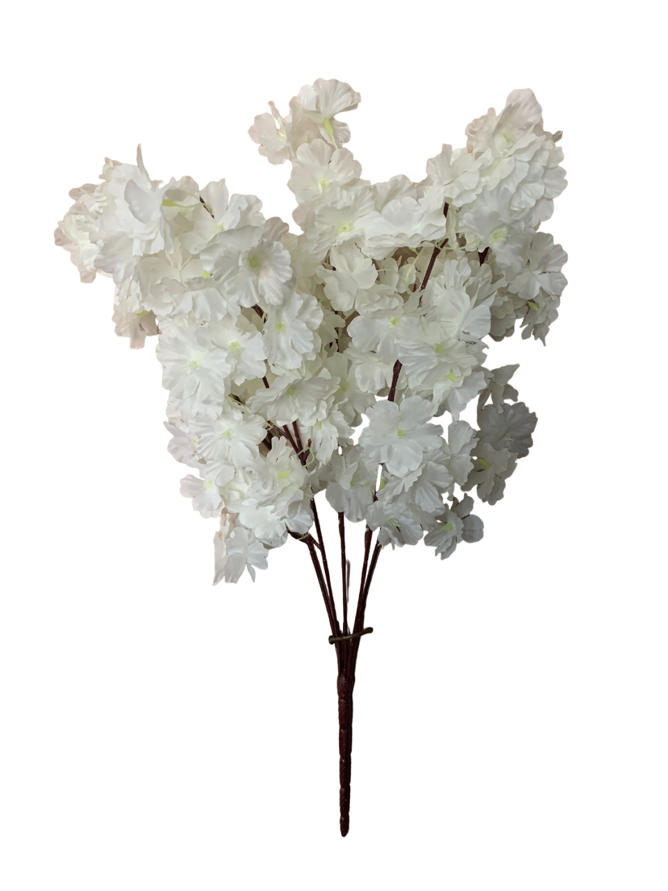img_6061_photoroom.png_photoroom_1.png