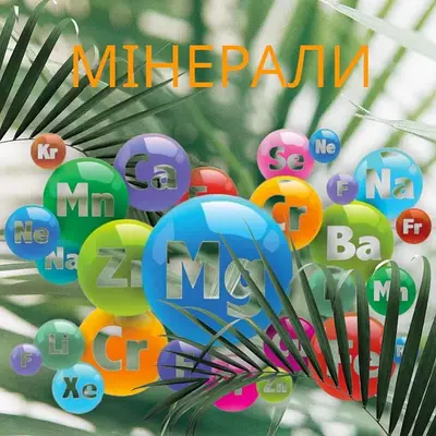 "ОФІЦІЙНИЙ ПАРТНЕР "РОСЛИНА КАРПАТ"" - контакти, товари, послуги, ціни