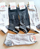 Шкарпетки чоловічі короткі SPORT з додатковою гумкою на стопі ТМ Lomani р.40-44, фото 2