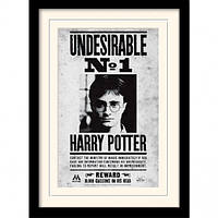 Постер у рамі "Harry Potter (Undesirable No1)" 30 x 40 см Form