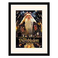 Постер у рамі "Harry Potter (Dumbledore)" 30 x 40 см ESTET