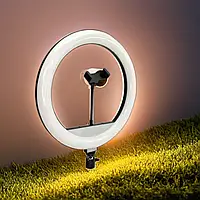 Лампа-кольцо, Кольцевая LED лампа Ring Light BD-330 33cm с держателем для мобильного