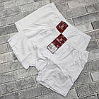 Боксери чоловічі бавовняні BONO (Арт: 950102) р.54 білі 30038663, фото 2