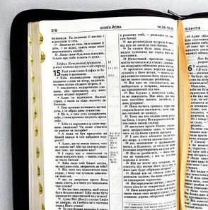 Укр. Біблія Сучасний переклад Турконяк Друге видання великого формату (коричнева тиснення шкірзам індекси блискавка золото 17х24), фото 4