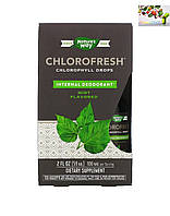 Хлорофилл ,Nature's Way, Chlorofresh, капли с хлорофиллом, мята, 59 мл