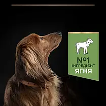 Сухий корм для собак Pro Plan Small&Mini Adult Sensitive Digestio для малих порід з ягням 7 кг, фото 6