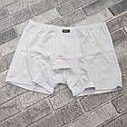 Боксери чоловічі бавовняні BONO (Арт: 950102) р.54 білі 30038663, фото 4