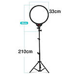 Світлодіодна LED-панель ZL-QP330 – 33см. (кільцева лампа) для студійного освітлення, на штативі 210см., 24 Вт., фото 2