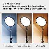 Світлодіодна LED-панель ZL-QP330 – 33см. (кільцева лампа) для студійного освітлення, на штативі 210см., 24 Вт., фото 8