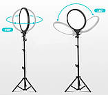 Світлодіодна LED-панель ZL-QP330 – 33см. (кільцева лампа) для студійного освітлення, на штативі 210см., 24 Вт., фото 3