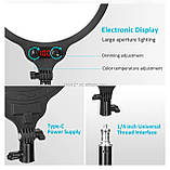 Світлодіодна LED-панель ZL-QP330 – 33см. (кільцева лампа) для студійного освітлення, на штативі 210см., 24 Вт., фото 5