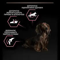 Сухий корм для собак Pro Plan Small&Mini Adult Sensitive Skin для малих порід з лососем 7 кг, фото 3