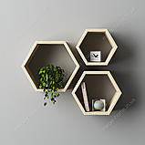 Набір навісних полиць соти 3 шт. у комплекті, декоративні полички на стіну з натурального дерева., фото 2