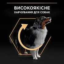 Сухий корм для собак Pro Plan Medium Adult Everyday Nutrion для середніх порід з куркою 14 кг, фото 6