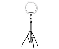 Монопад Tripod + Ring Lamp Bluetooth 6 MY100 (Kit3) 12cm Stand 83cm Selfie Stick USB Power Black