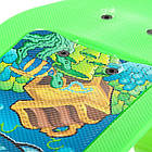 Скейтборд FISH Duckbill SP-Sport SK-418-7 салатовий, фото 6