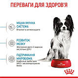 Сухий корм для мініатюрних цуценят віком від 2 до 10 місяців Royal Canin Puppy X-small 1,5 кг, фото 5