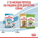 Сухий корм для мініатюрних цуценят віком від 2 до 10 місяців Royal Canin Puppy X-small 1,5 кг, фото 2