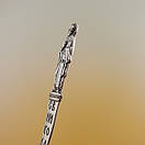 Срібна ложка "Святий Миколай", фото 8