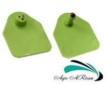 Вушна бирка для свиноматок і КРС, без номера, 4,5х5,0 см зелена (подвійна), фото 1