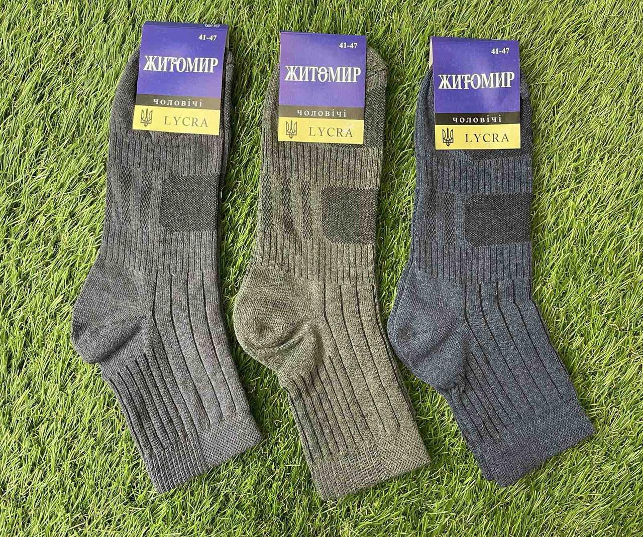 Шкарпетки чоловічі бавовна "Житосвіт" розмір 41-47 (від 12 пар)
