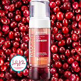 Ніжна пінка для обличчя з екстрактом журавлини  Neogen Dermalogy Real Fresh Cranberry Foam, 160ml, фото 3