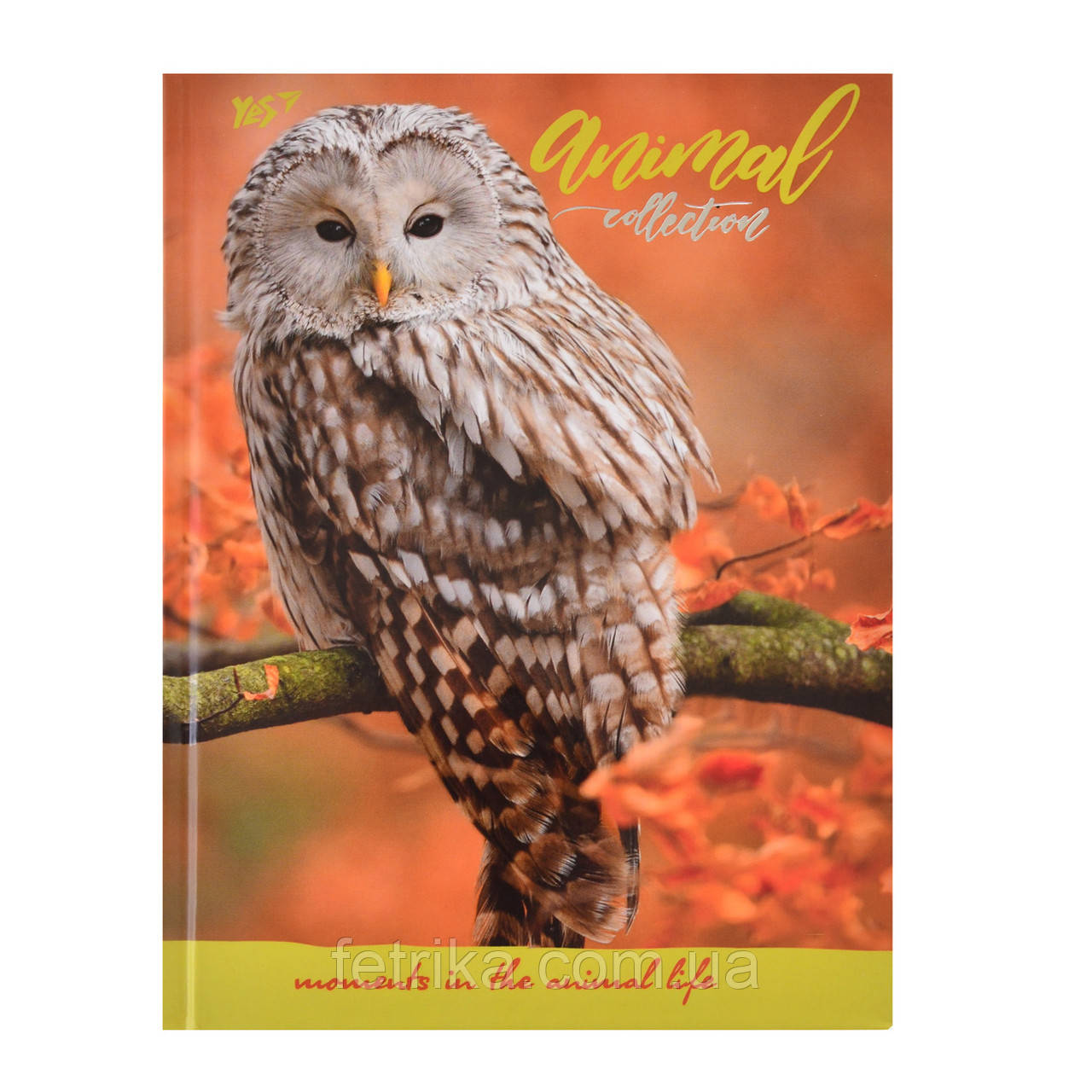 Блокнот А5 96 Лін. YES Інтегральний Wild Force, фото 1