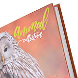 Блокнот А5 96 Лін. YES Інтегральний Wild Force, фото 4