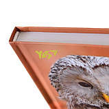 Блокнот А5 96 Лін. YES Інтегральний Wild Force, фото 3