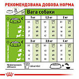Сухий корм для дорослих собак від 8 років мініатюрних розмірів Royal Canin X-small Adult 8+, фото 2