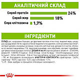 Сухий корм для дорослих собак від 8 років мініатюрних розмірів Royal Canin X-small Adult 8+, фото 5