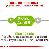 Сухий корм для дорослих собак від 8 років мініатюрних розмірів Royal Canin X-small Adult 8+, фото 3