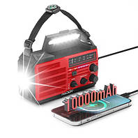 AM FM мережева акумуляторна магнітола RADDY