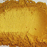 Пігмент перламутровий PGY/10-60 мк жовте золото, фото 3