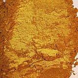 Пігмент перламутровий PGR/10-60 мк червоне золото, фото 4