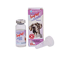 Догляд за вухами котів