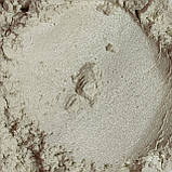 Пігмент перламутровий PWS/5-15 мк белое серебро Tricolor, фото 3