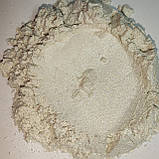 Пігмент перламутровий PWS/5-15 мк белое серебро Tricolor, фото 4