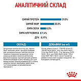 Сухий корм для щенят дрібних порід Royal Canin SHN Mini Puppy 7 кг+1кг, фото 8