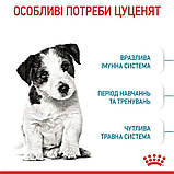 Сухий корм для щенят дрібних порід Royal Canin SHN Mini Puppy 7 кг+1кг, фото 2