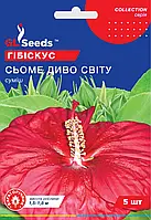 Насіння Гiбiскуса Сьоме диво свiту (5шт), Collection, TM GL Seeds