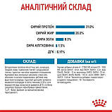 Сухий корм для мініатюрних цуценят віком від 2 до 10 місяців Royal Canin X-Small Puppy 1,5 кг + 4 паучі, фото 5