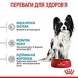 Сухий корм для мініатюрних цуценят віком від 2 до 10 місяців Royal Canin X-Small Puppy 1,5 кг + 4 паучі, фото 4